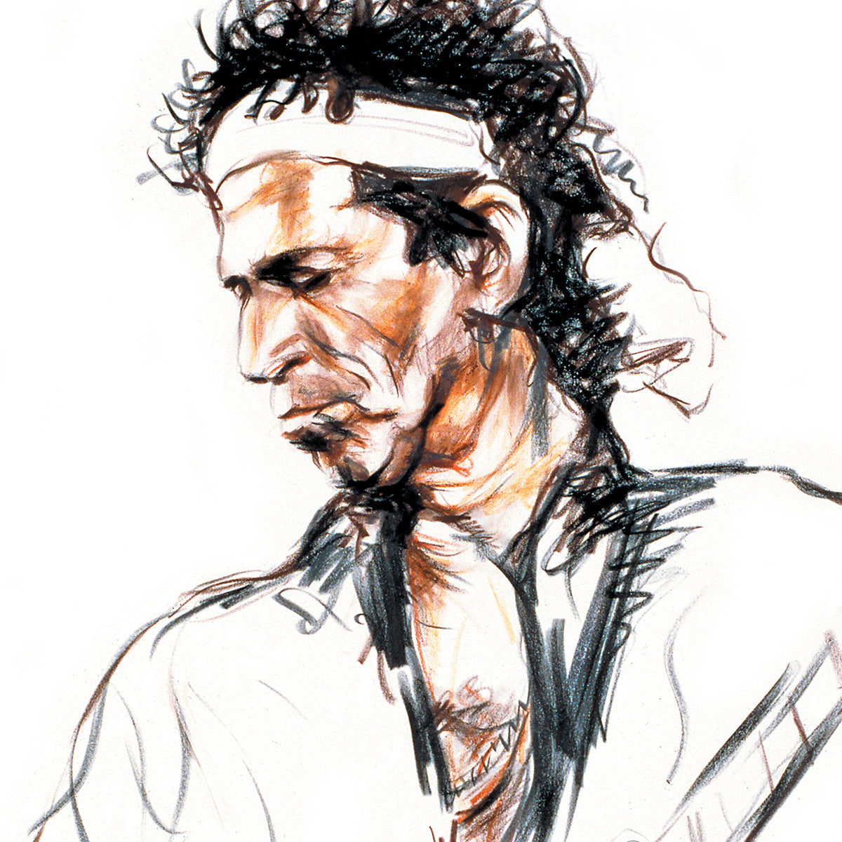 Ronnie Wood - Voodoo Portfolio