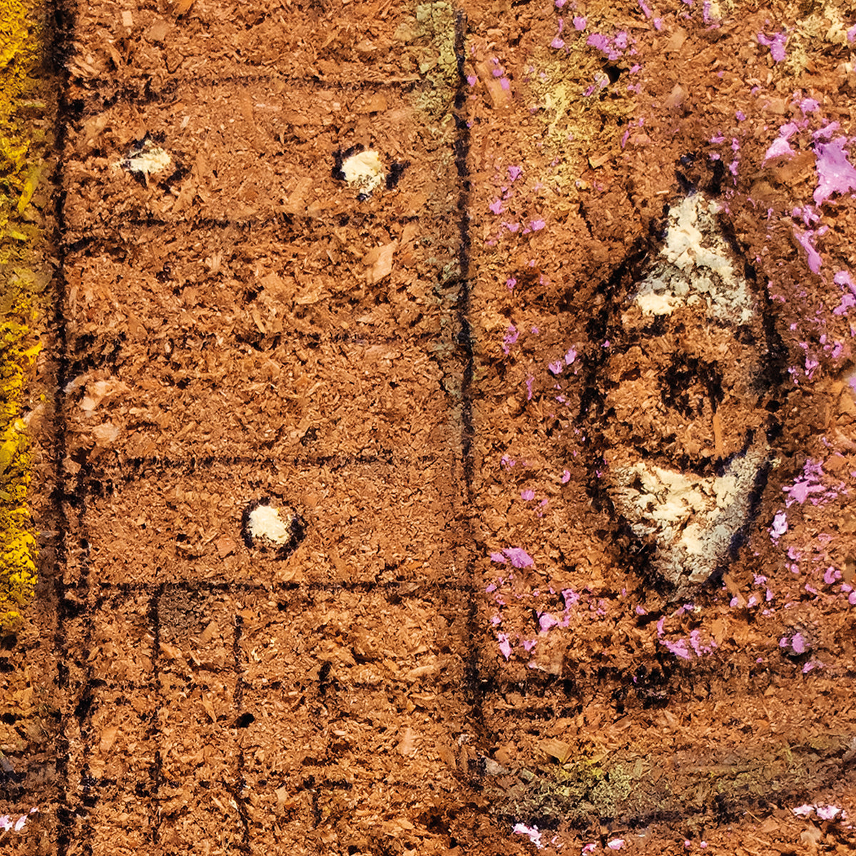 Ronnie Wood - Orville Gibson Study